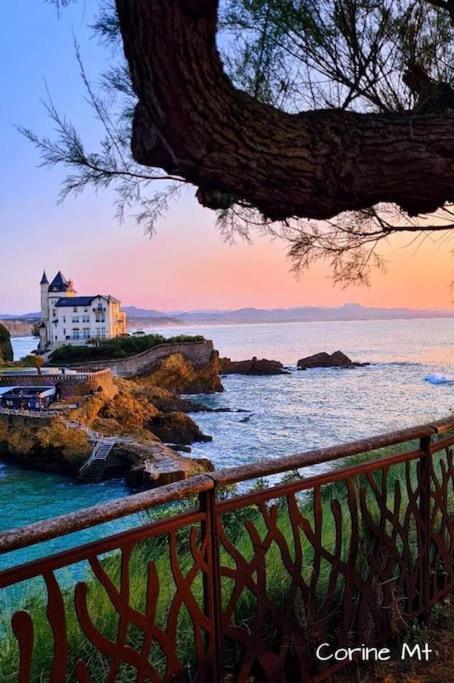 Magnifique T3 - Grande Plage Biarritz Exterior photo